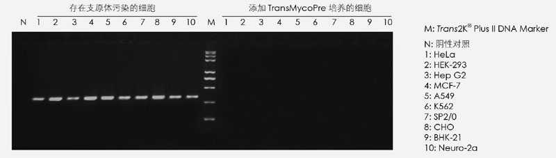 【逛展會零距離】“渝”您共赴中國細胞生物學學會2021年全國學術(shù)大會