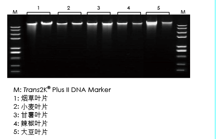 【展會零距離】2021全國植物生物學(xué)大會